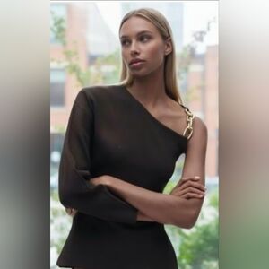 Zara Dark Brown Knit Top